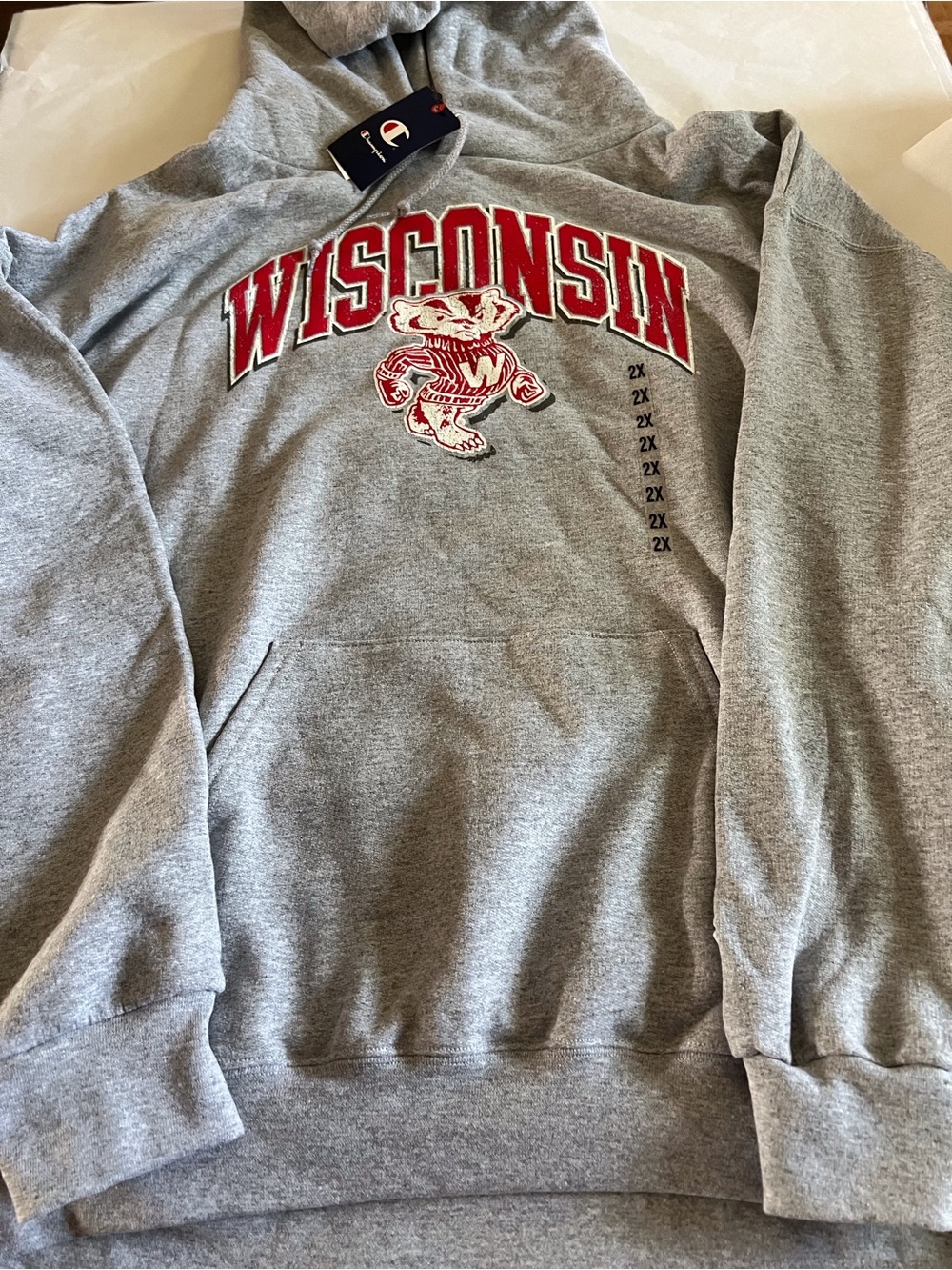 Champion Gray Hoodie with Red Wisconsin Badgers Logo - unisex